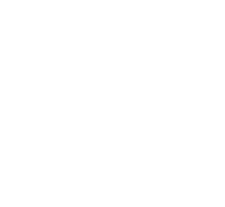 International Festival Clayton Youth Enrichment